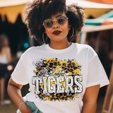 Charleston Tigers