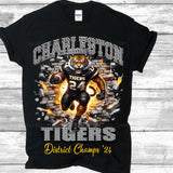 Charleston Tigers District Champs '24